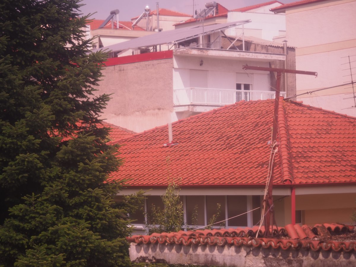 P1010012.JPG P1010012.JPG