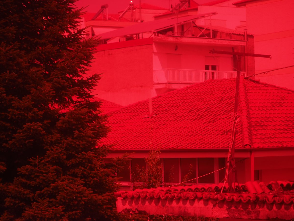 P1010013.JPG P1010013.JPG