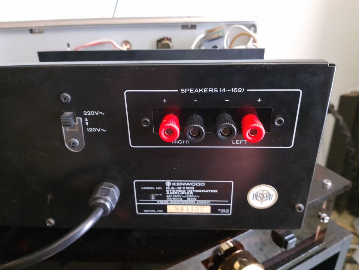 IMG_20230706_144317[1].jpg
