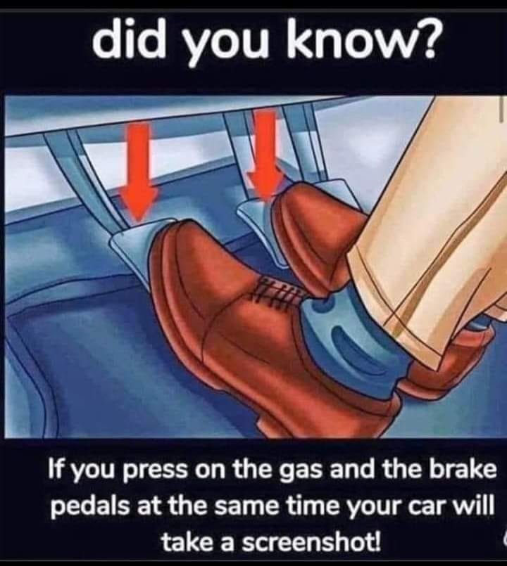359713590_181064684957646_2935771224789781029_n.jpg