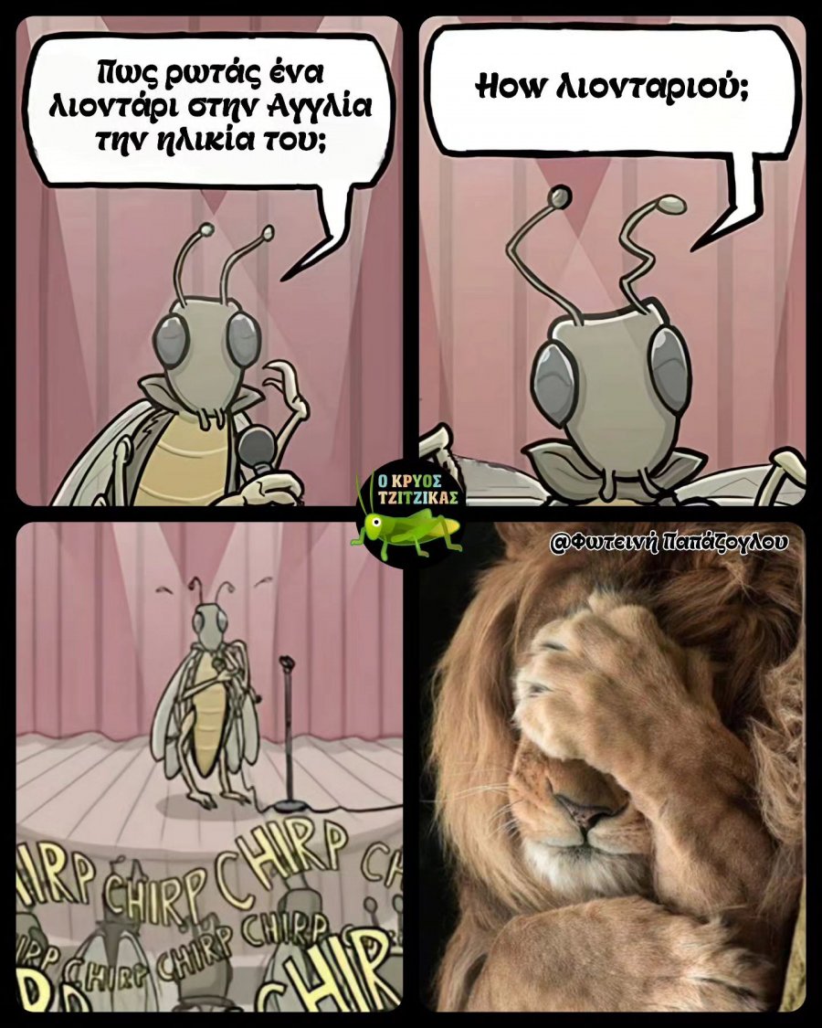 λιοντάρι.jpg