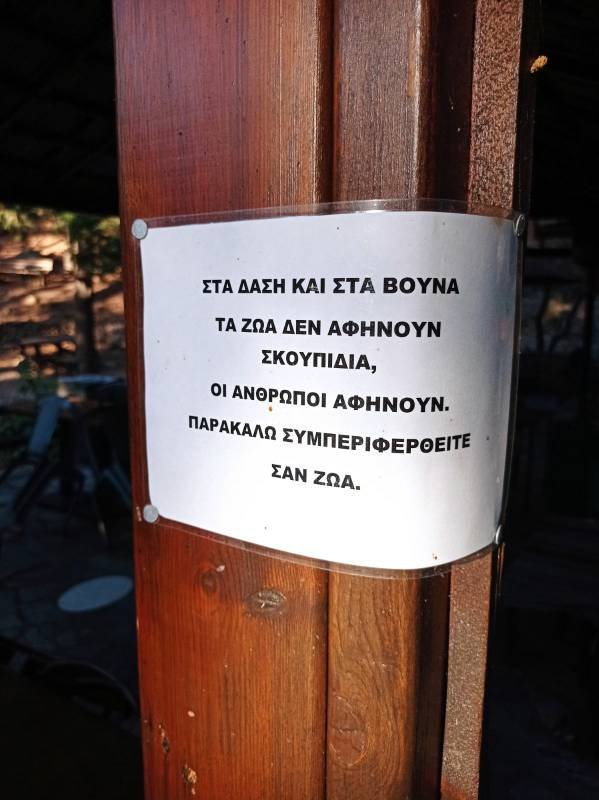 IMG-33e7a2da8c661065e432fea372af8da0-V.jpg