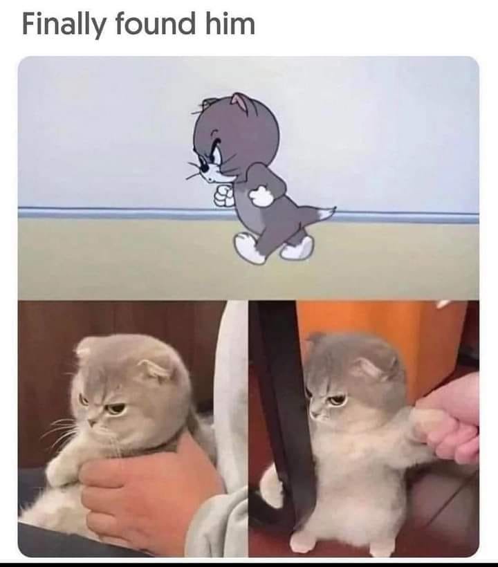 Real Jerry outside.jpg