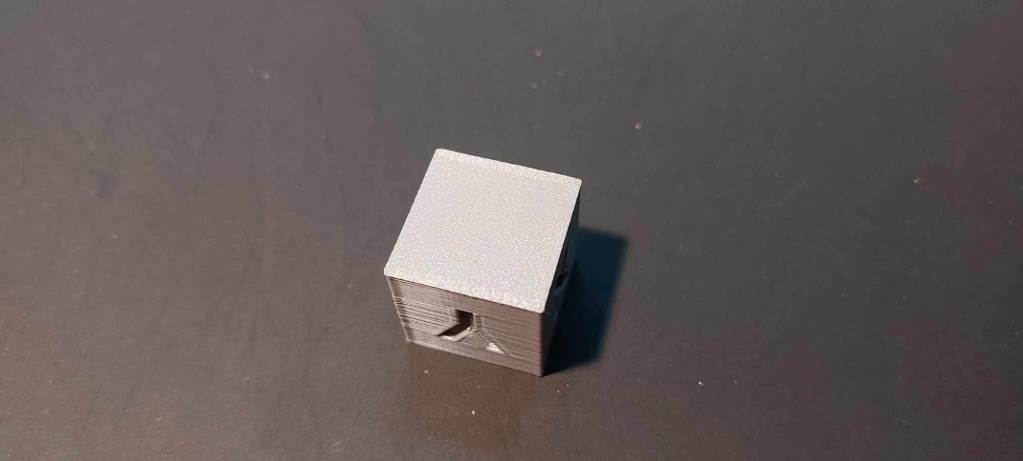367512892_224651167235299_8719150317389070075_n.jpg