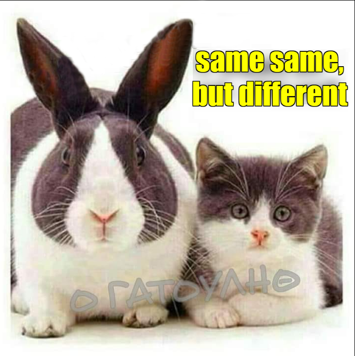 same same, but different.png