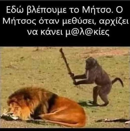 οταν το μητσο μεθαει.jpg