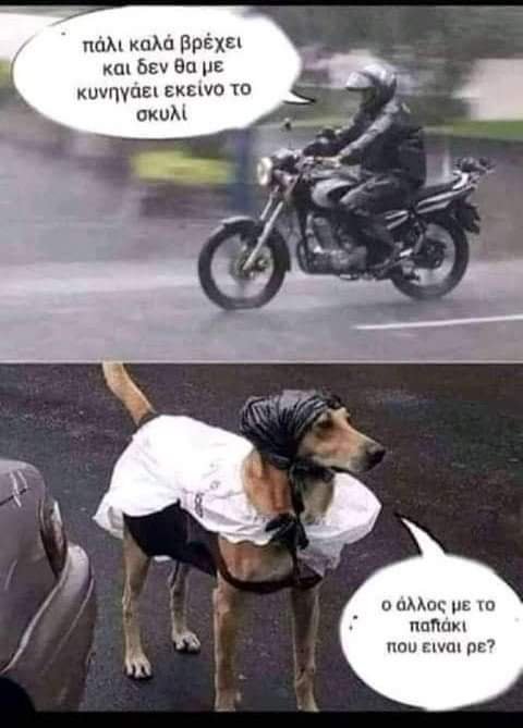 Ξαμολυμενος για ζημια.jpg