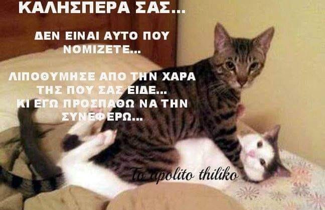 Μα δεν αυτό που νομίθειθ!!.jpg