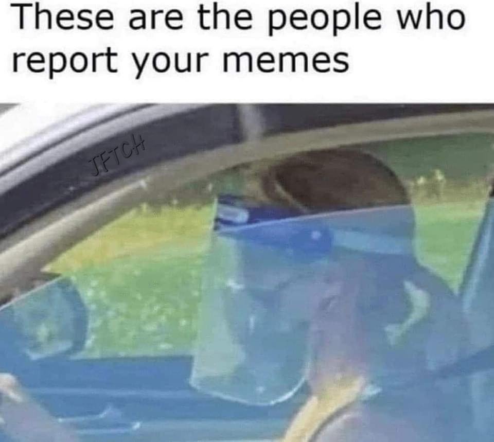 376770852_276415658482839_772220057421923139_n.jpg