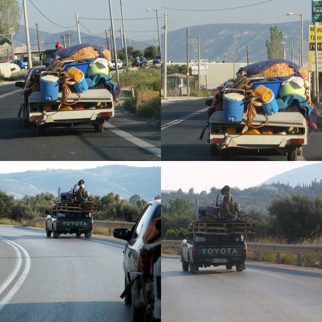 collage2.jpg