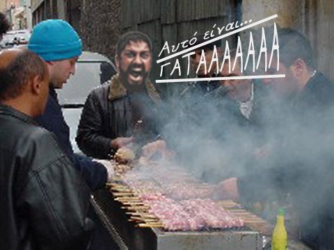 07a_gataa-3.jpg