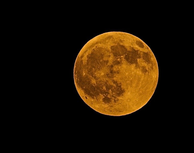 DSC_7363 - Version 2.jpg