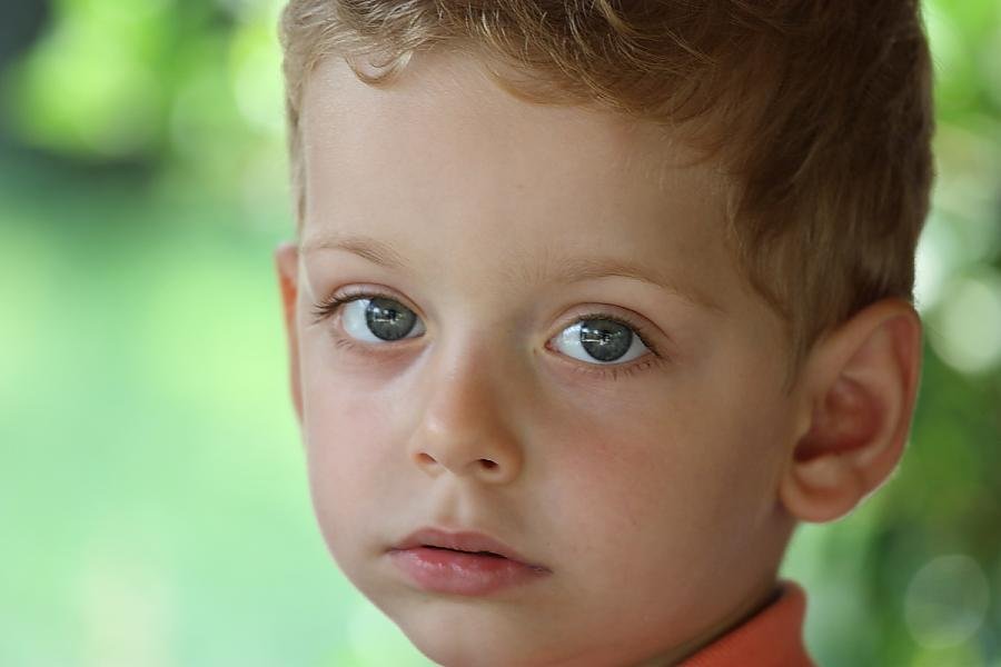 IMG_1153 res1200.jpg