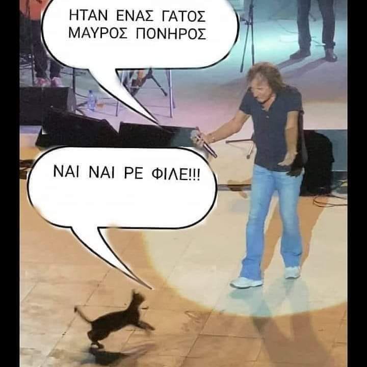 μαυροs γατοs.jpg