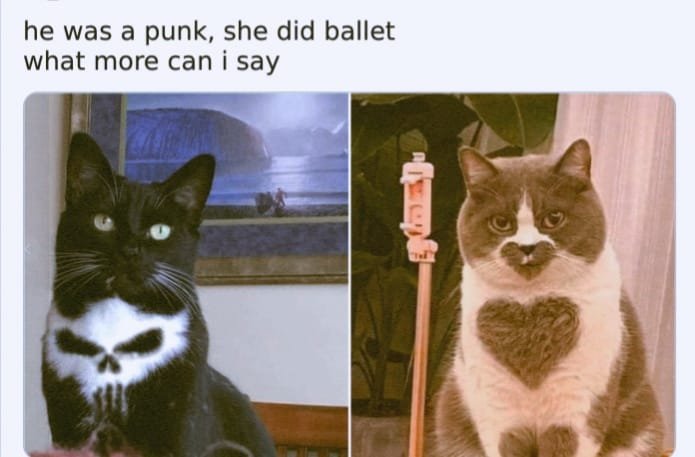 cat heart.jpg