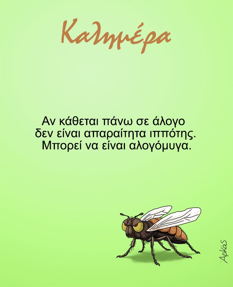 381068577_866110168213234_8222016750388822012_n.jpg