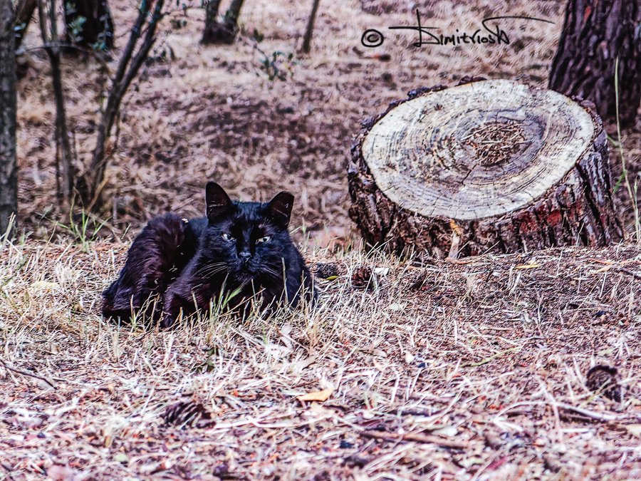 P5220787_DxO_AF-STB copy_WM.jpg