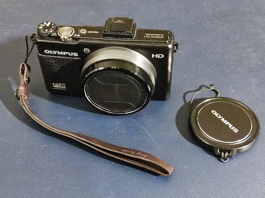 1697219271934 copy.jpg