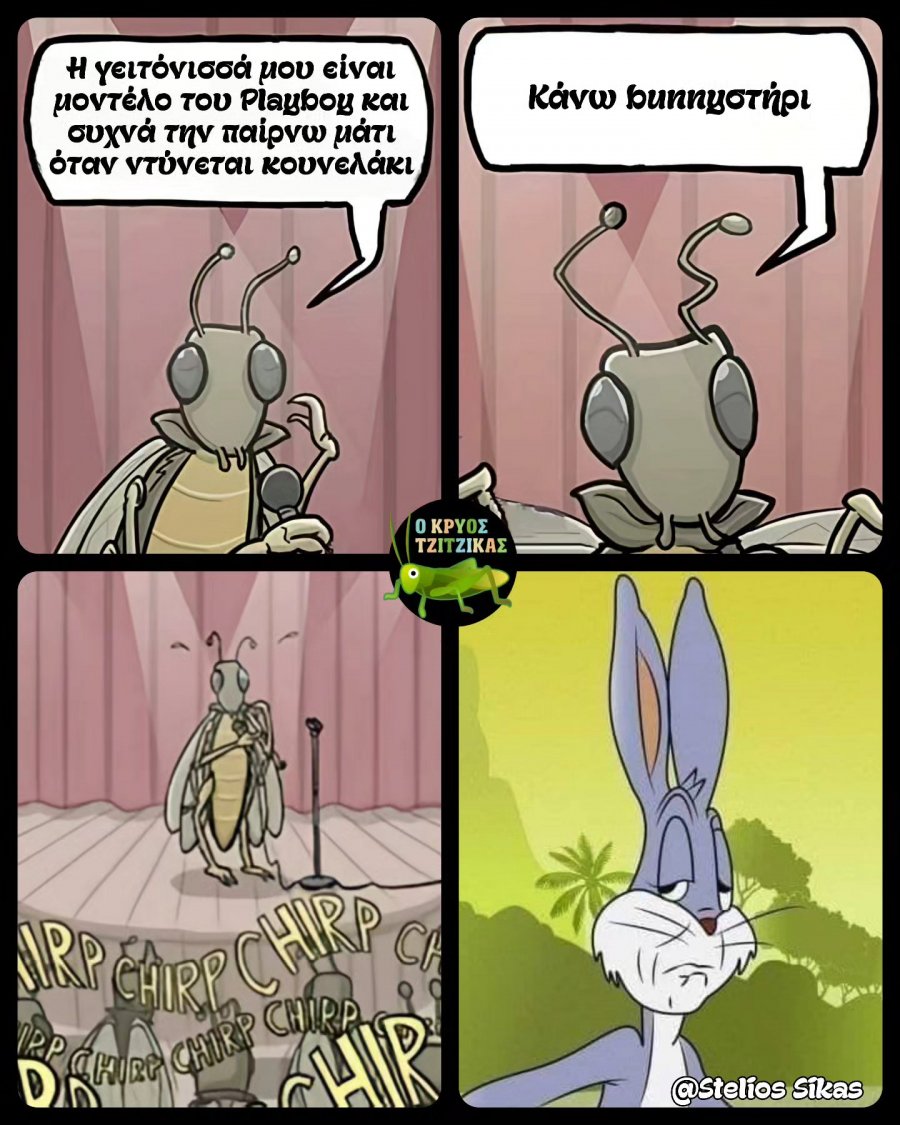 κουνέλι.jpg