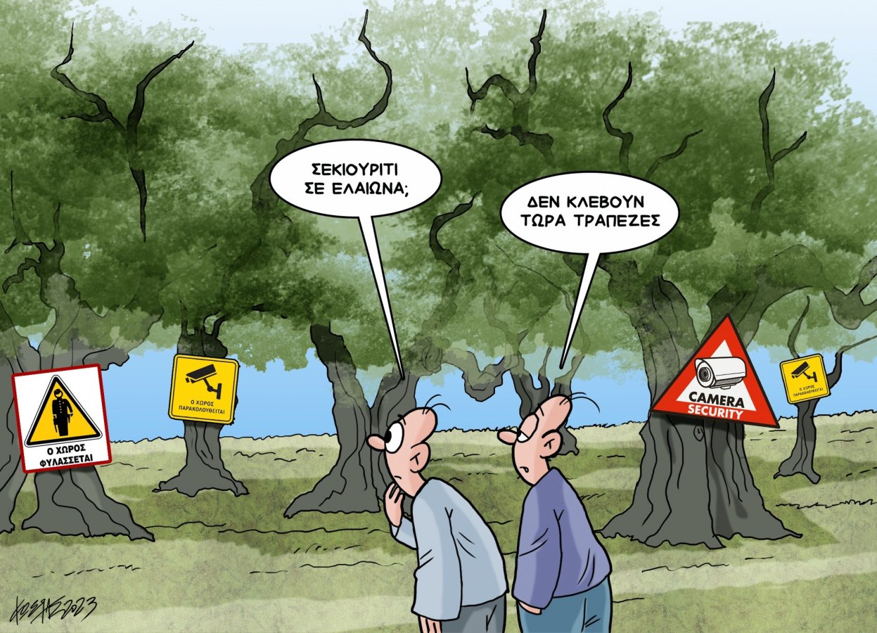 ελιές.jpg