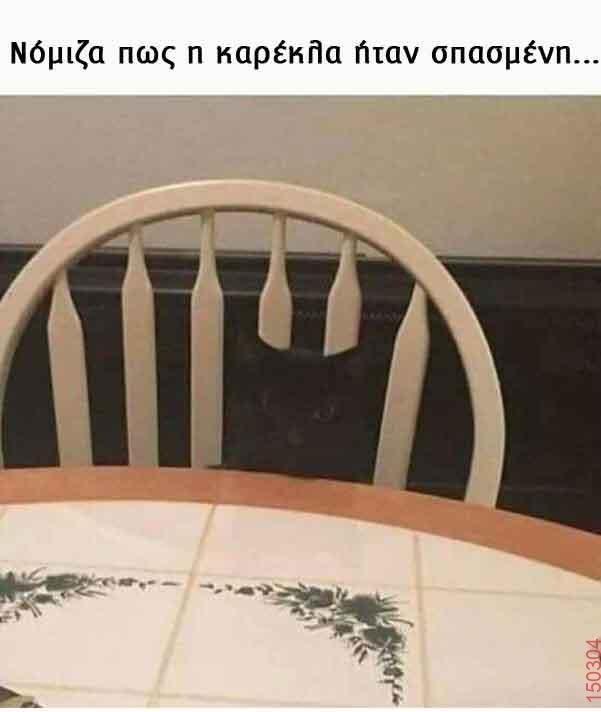 392878645_230940019993743_3743391606782907501_n.jpg