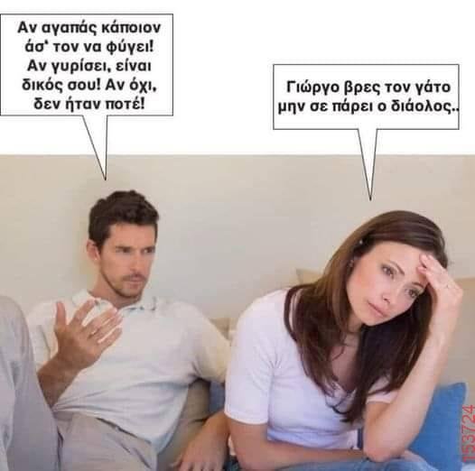 Βρες τον γάτο.jpg
