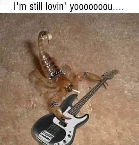 Scorpions.jpg