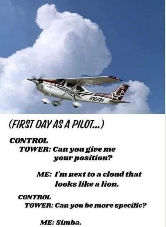 Simba.jpg