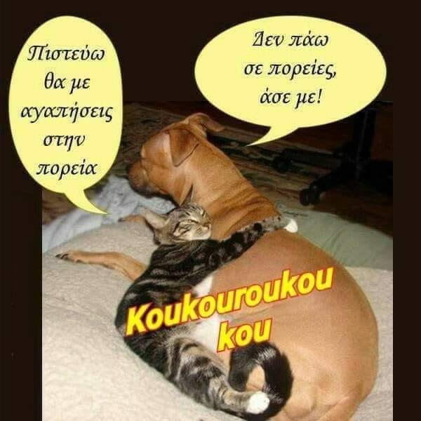 Θα θε καταφέρω θιγα θιγα.jpg