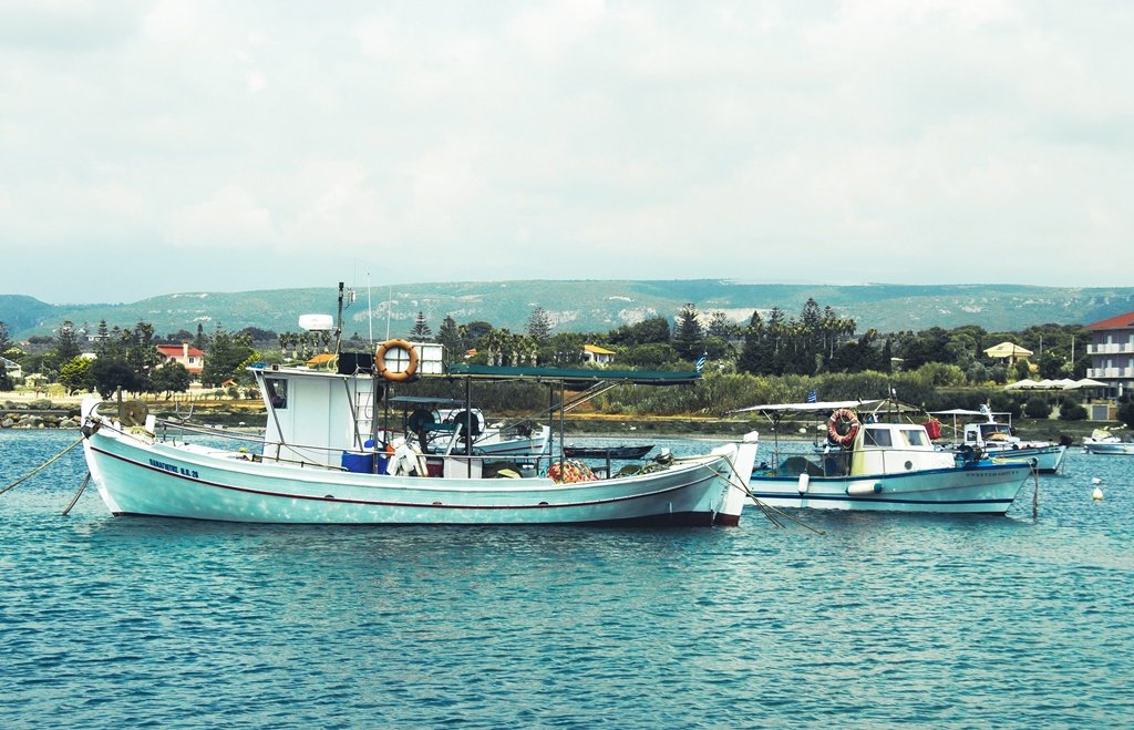 boats_2023_edited.jpg