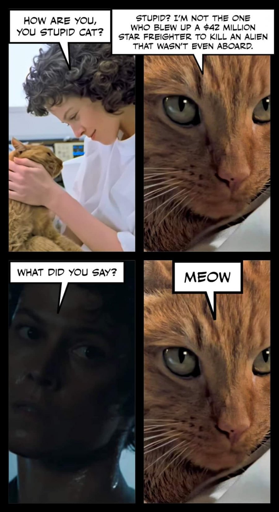 Meow.jpg