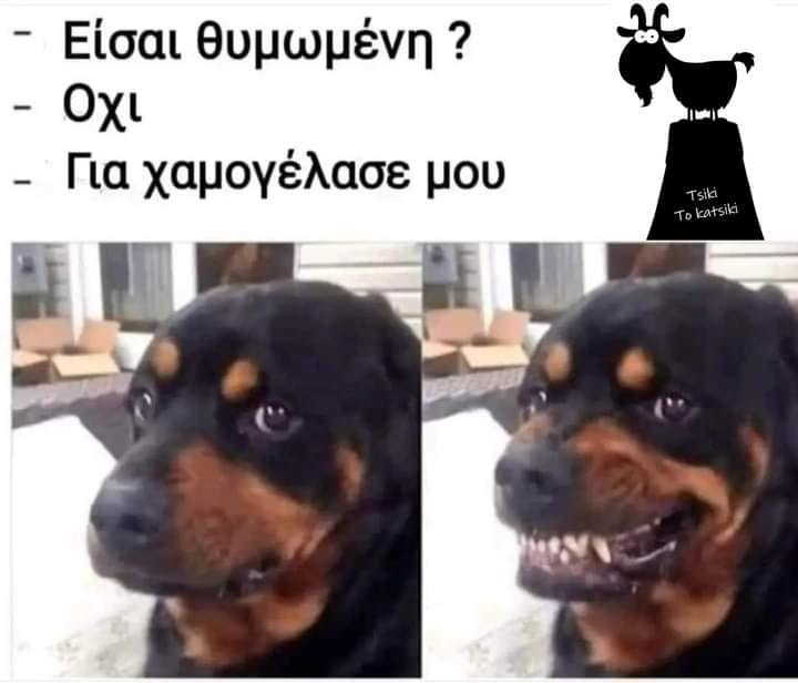 400765483_358635783401397_1795143234014616976_n.jpg