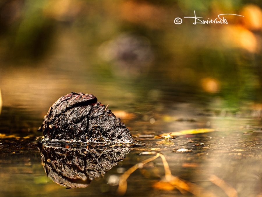 PB110061_DxO_AF copy_WM.jpg