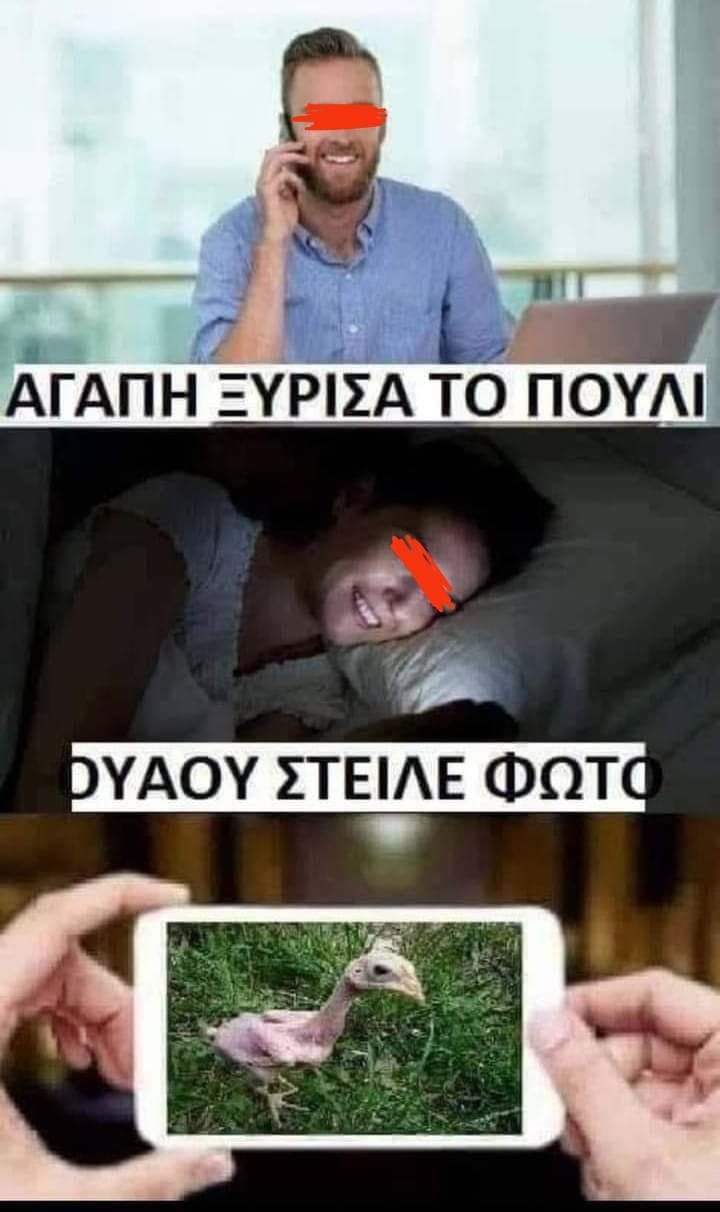 402627882_857095443085234_7800889661490561275_n.jpg