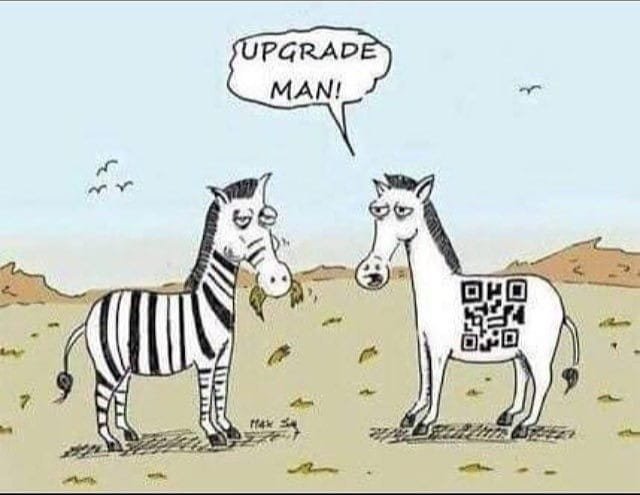 Zebra, new model.jpg