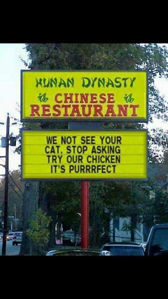 the chicken is purrrfect.jpg