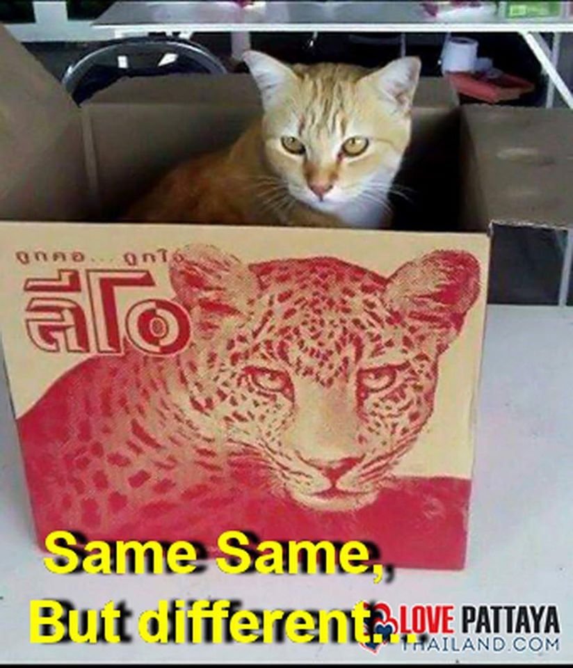 same same.jpg