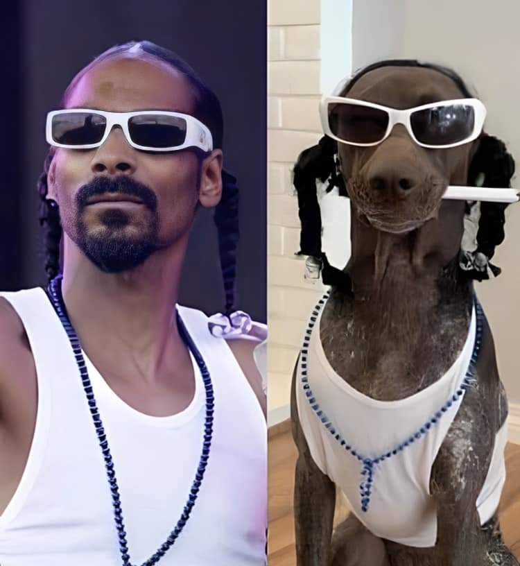 Snoop Dogg.jpg