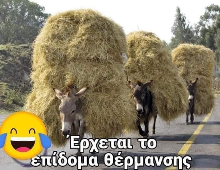ΣΑΝΟ pass.jpg