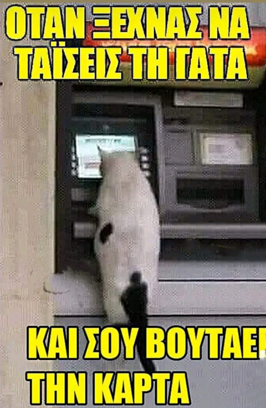412640080_877441977717247_1348096144499898765_n.jpg