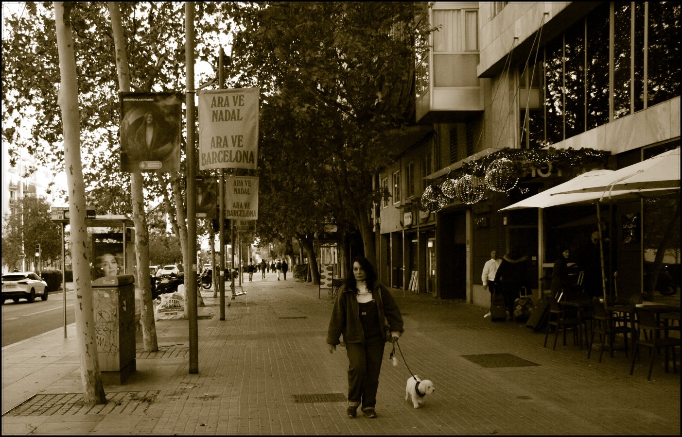 Lady with Dog IMG_0261.jpg