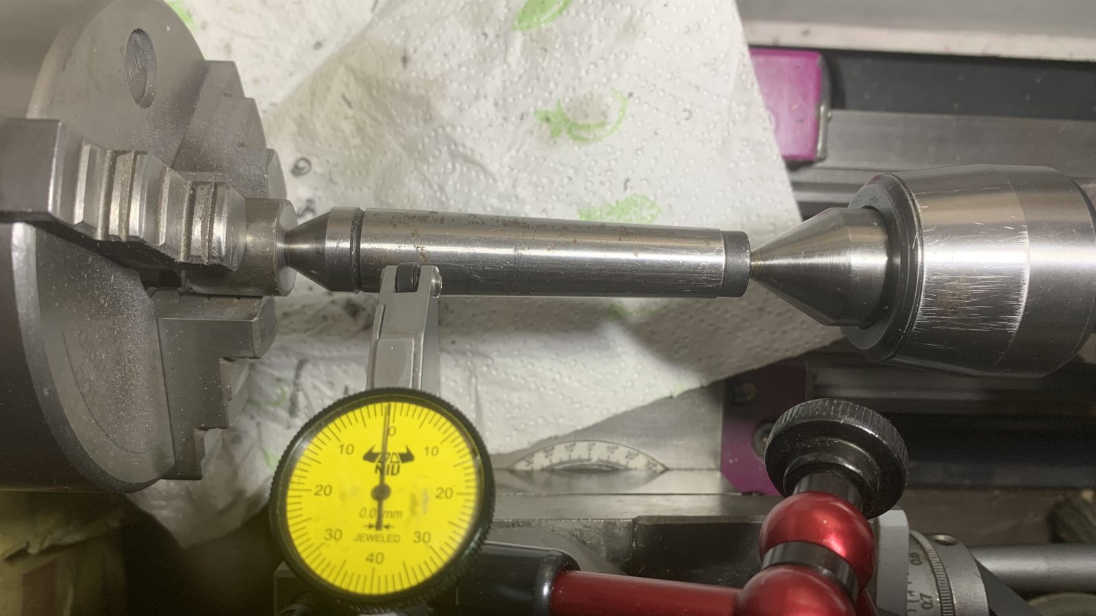 IMG_7371.jpeg IMG_7371.jpeg