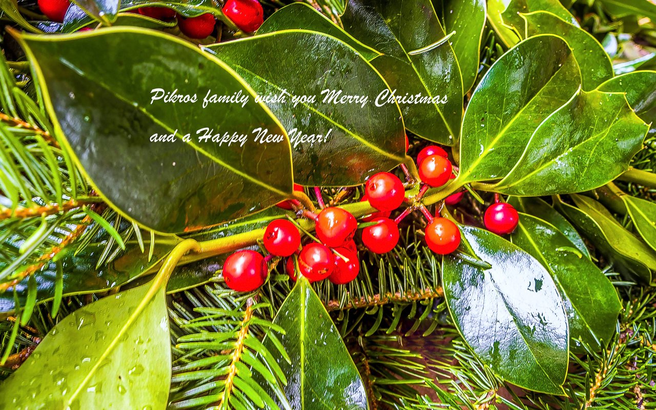 PC211352_DxO_Wishes_2 copy.jpg