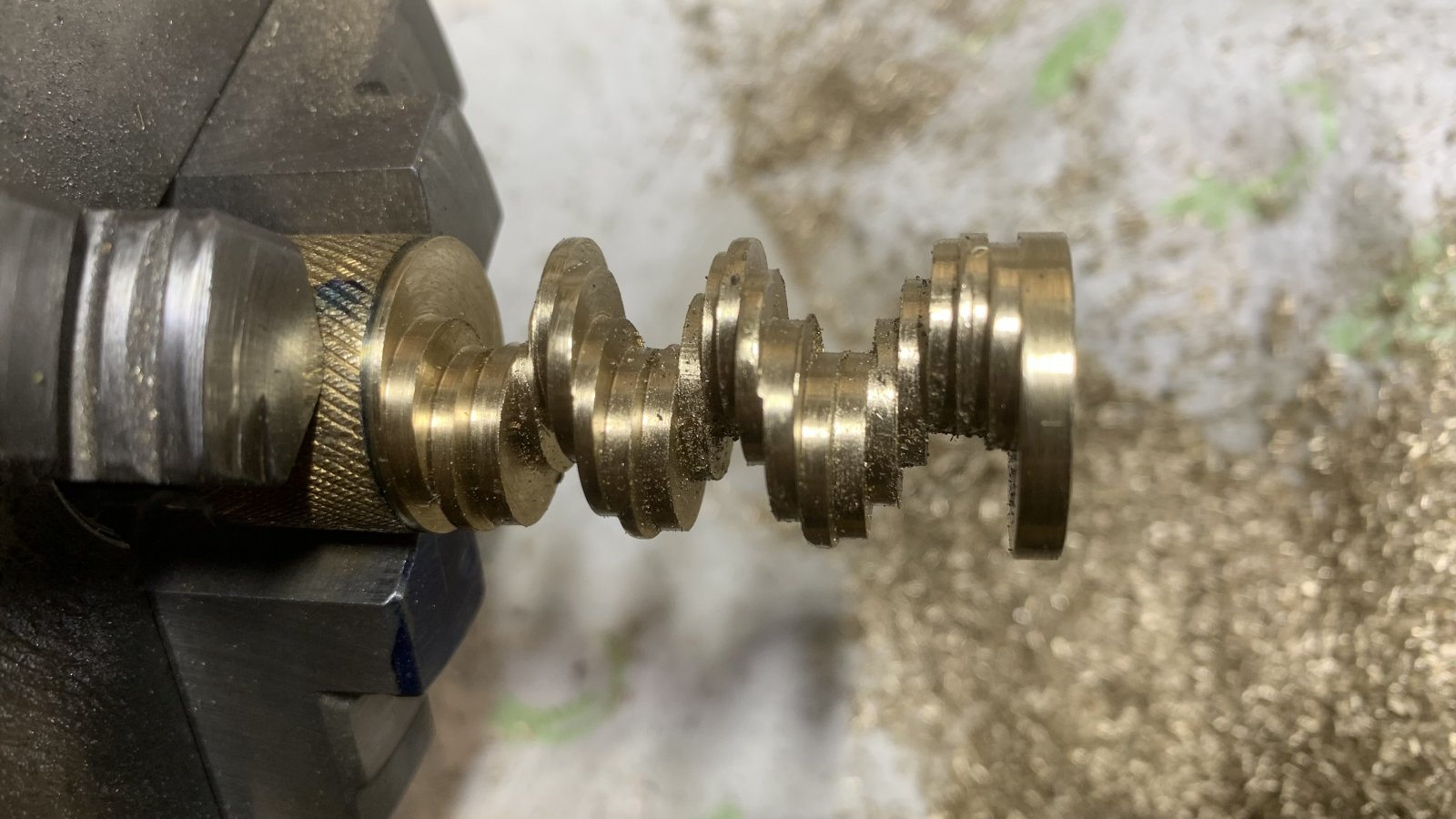 IMG_7391.jpeg IMG_7391.jpeg