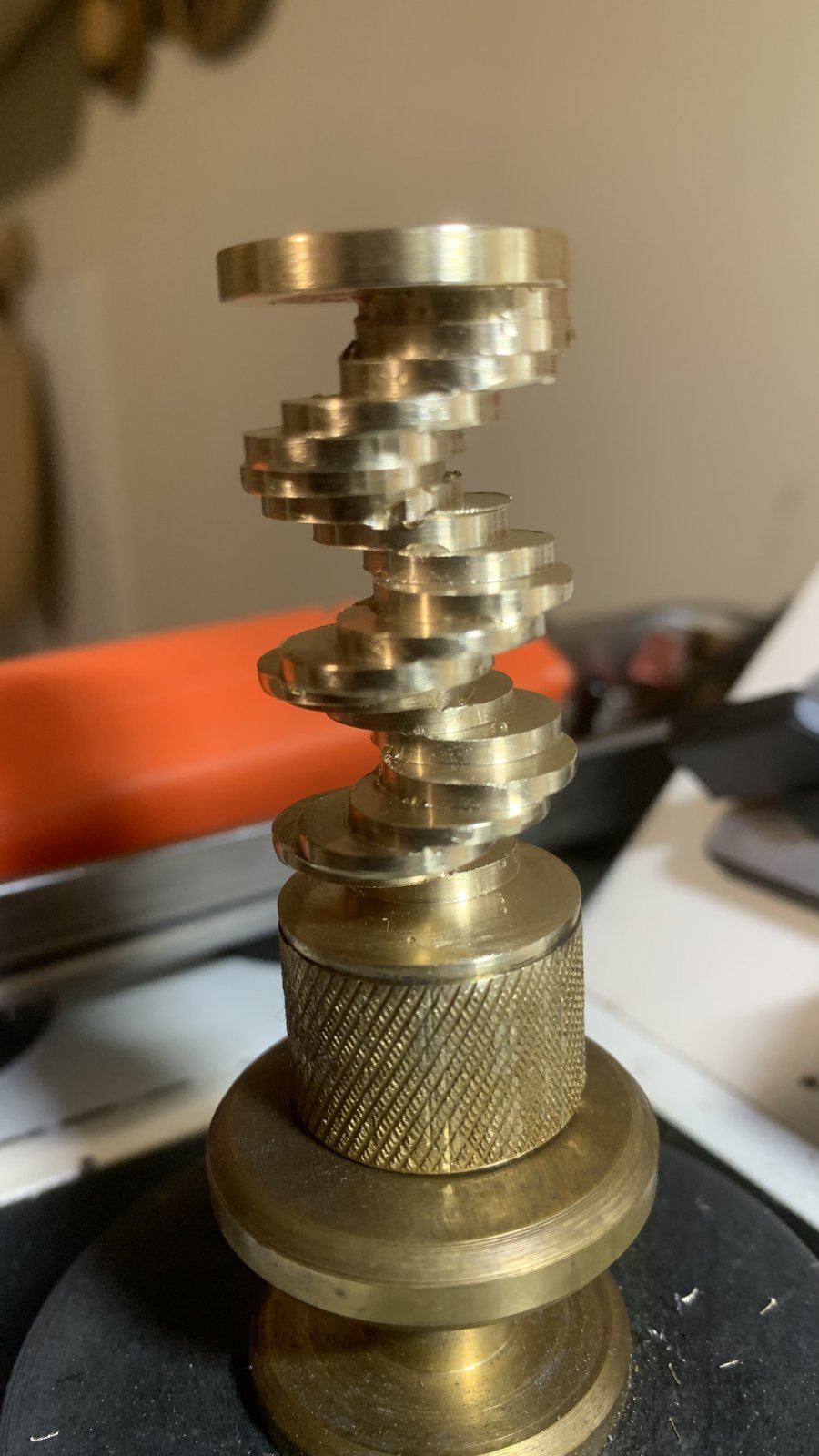 IMG_7394.jpeg IMG_7394.jpeg