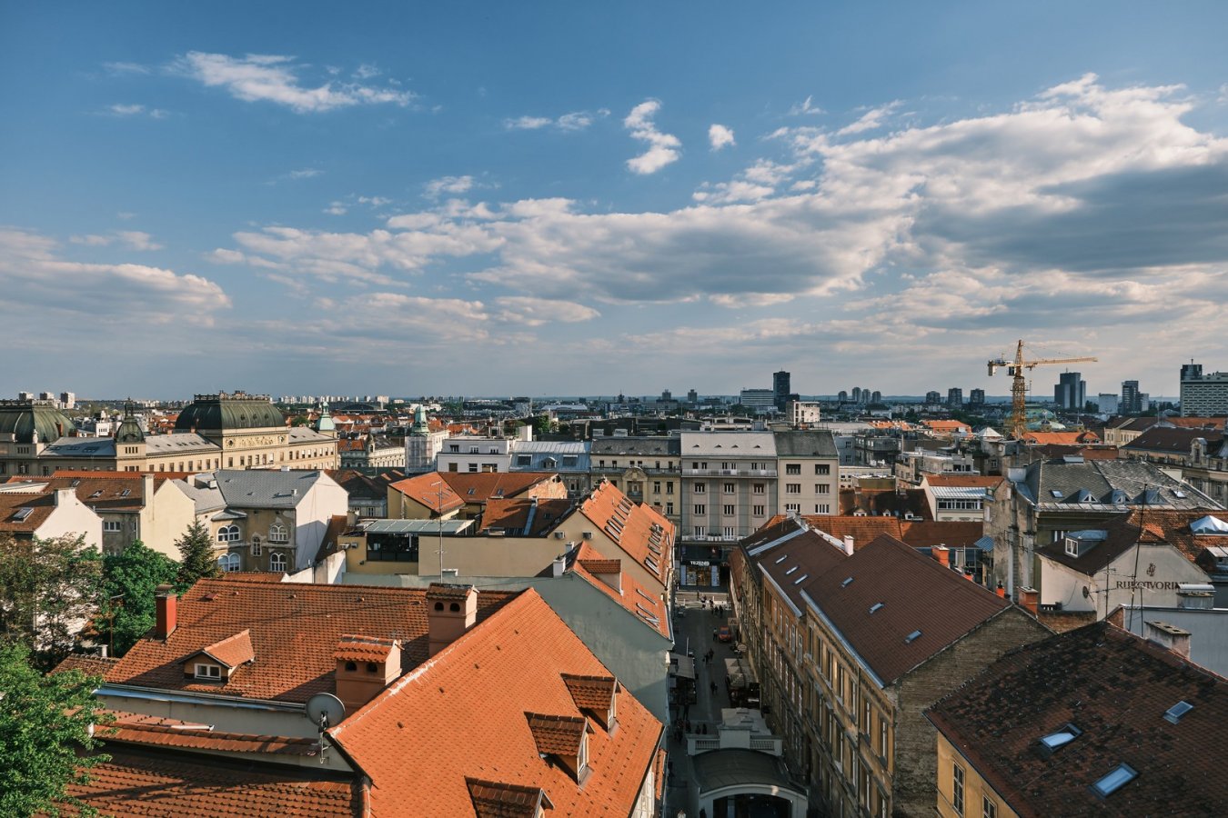 _DSF0276.jpg
