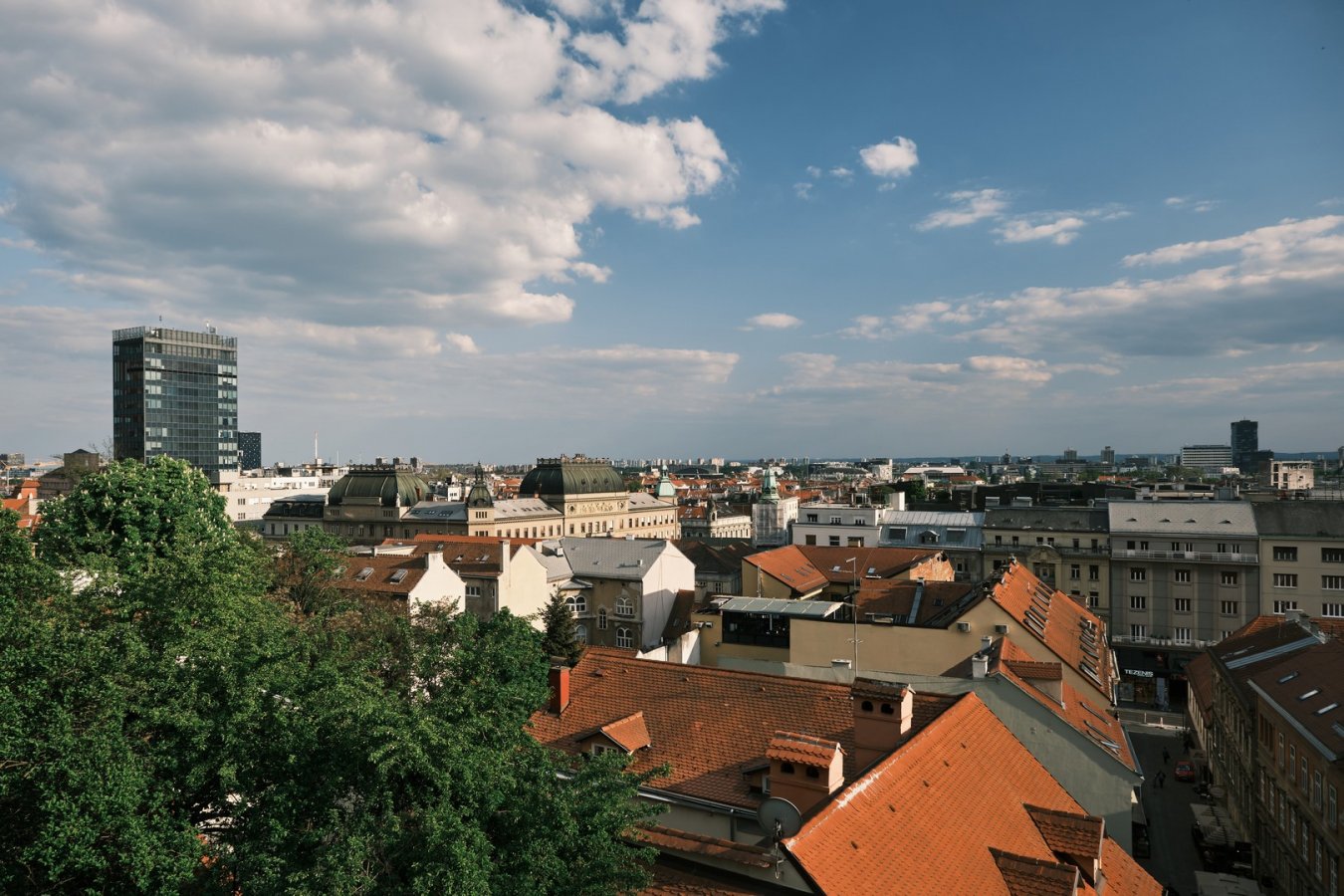 _DSF0319.jpg