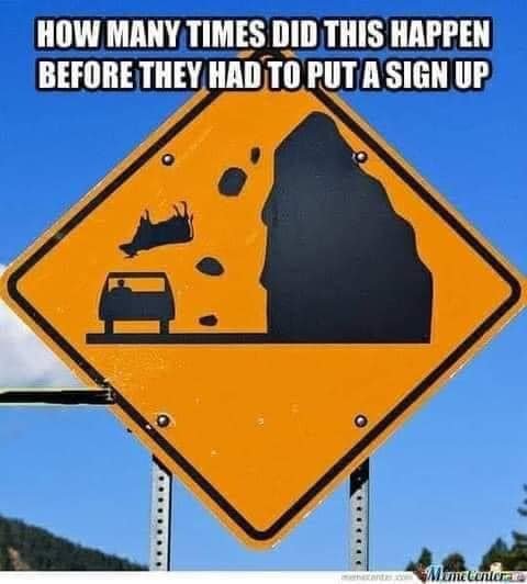 cow sign.jpg