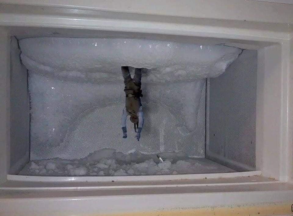 Hanging in a fridge.jpg