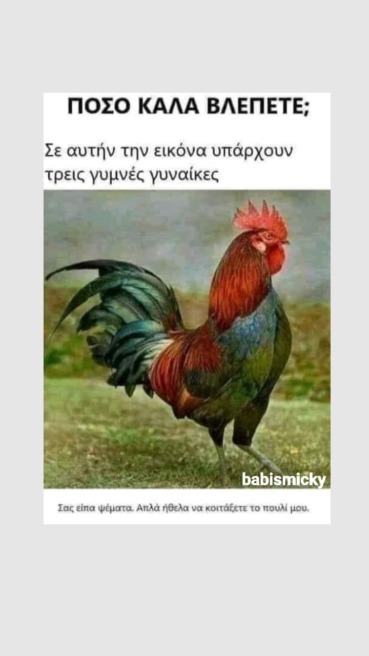 πουλί.jpg